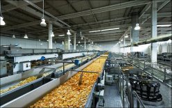 Food Processing