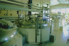 Pharmaceutical_factory